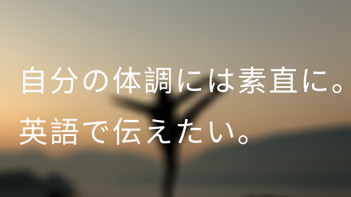 Uncategorized 筋肉留学