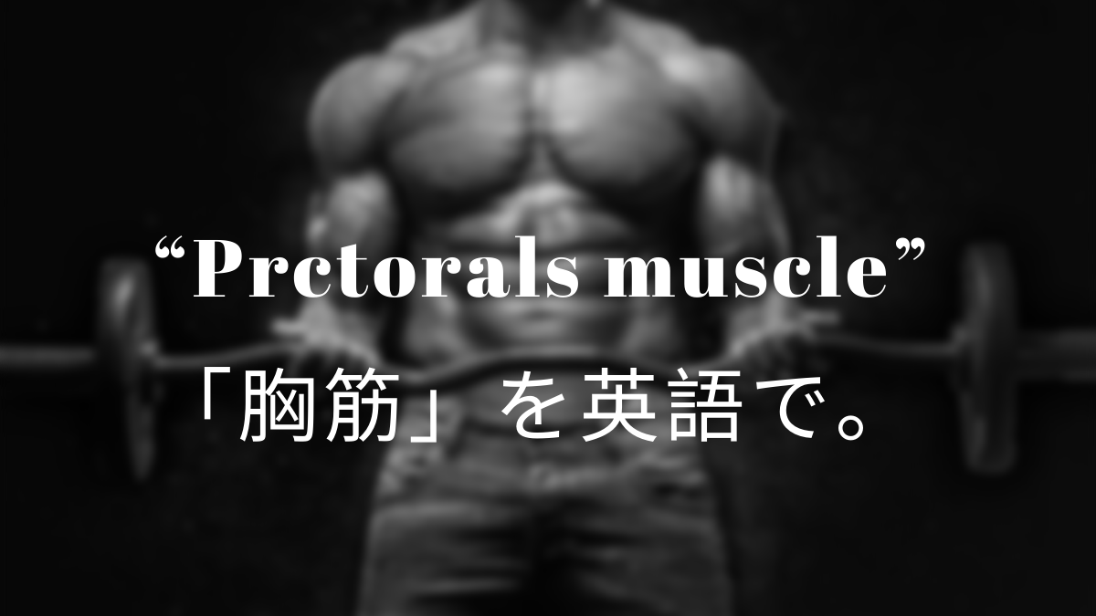 Pectorals Muscle 胸筋 を英語で 筋肉留学